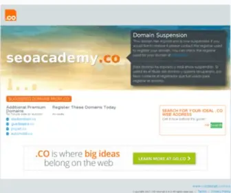 Seoacademy.co(SEO Academy) Screenshot