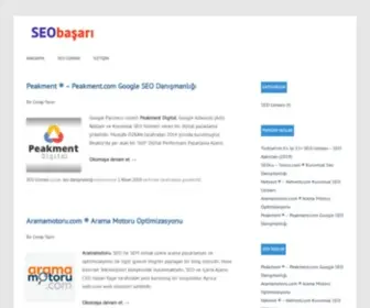 Seobasari.com(SEO Başarı) Screenshot