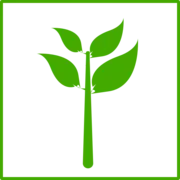Seobest.de Favicon
