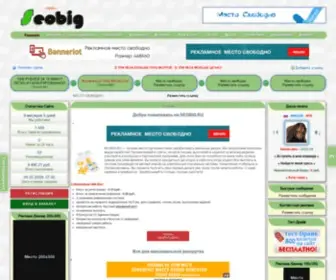 Seobig.ru(Истёк) Screenshot