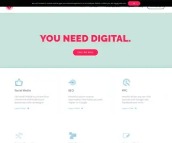 Seoblush.com(Toot Marketing Your Digital Partner) Screenshot