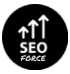 Seoforce.md Favicon