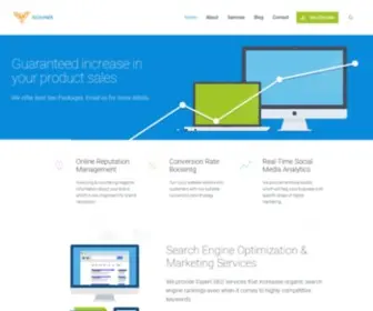 Seohawk.com(Seo Company India) Screenshot