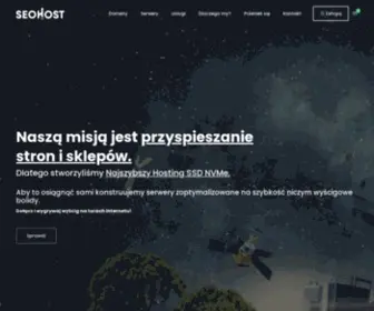 Seohost.pl(Tani i szybki hosting WWW) Screenshot