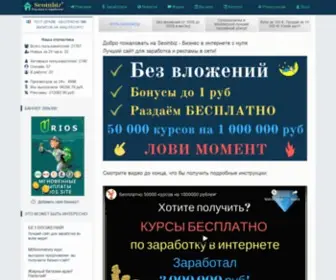 Seoinbiz.ru(Бизнес в интернете с нуля) Screenshot