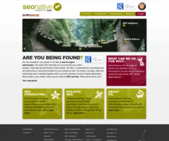 Seonative.com(SEO Agency for OnPage and OffPage Optimization) Screenshot