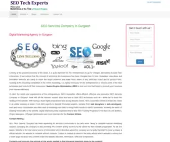 Seoservicescompanyingurgaon.in(SEO Tech Experts) Screenshot