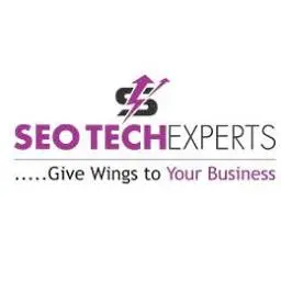 Seotechexperts.net Favicon