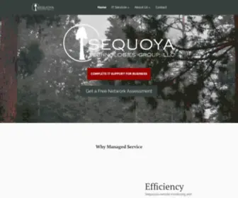 Sequoyatech.com(Sequoya Technologies) Screenshot