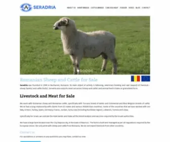 Seradria.com(Domains of activity Seradria) Screenshot