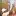 Serein-GE.com Favicon