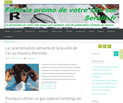 Serelit.fr(La promotion de votre site passe par) Screenshot