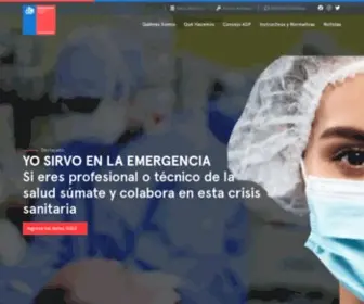 Serviciocivil.cl(Servicio Civil) Screenshot