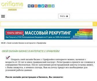 Setevoy-Marketing.ru(Работа) Screenshot