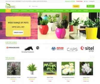 Setgreen.com(Buy Plants) Screenshot