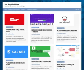 Seunegociovirtual.com.br(Seu Negócio Virtual é um blog com um único objetivo) Screenshot