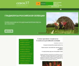 Sewok37.ru(Купить) Screenshot