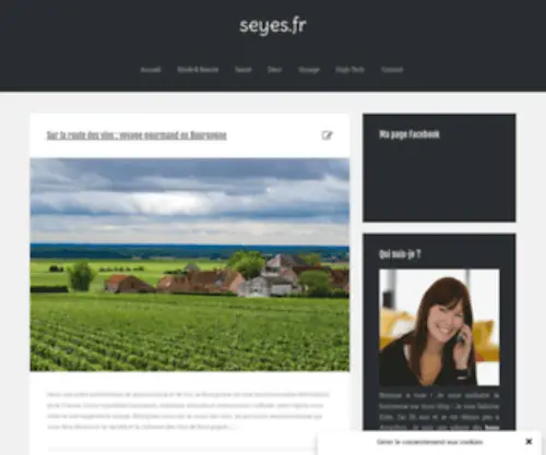 Seyes.fr(S. Eyes à votre service pour dénicher tous les bons plans) Screenshot