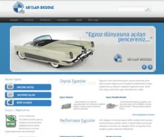 Seysanegzost.com.tr(Seysanegzost) Screenshot