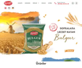 Sezginsayar.com(Sezginsayar) Screenshot