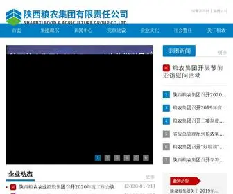 Sfagr.com(粮农集团站群) Screenshot