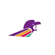 Sfaguilas.org Favicon