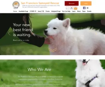 SFSR.org(San Francisco Samoyed Rescue) Screenshot