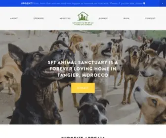 SFtmorocco.org(SFT Animal Sanctuary) Screenshot