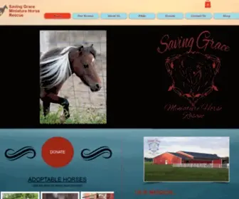 Sgminihorserescue.com(Saving Grace Miniature Horse Rescue) Screenshot