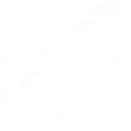 SGrgarantia.es Favicon