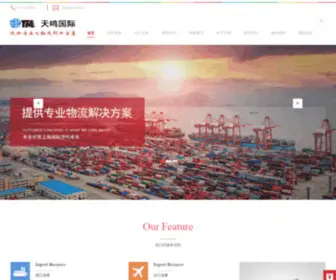 SH-TM.com(上海货代) Screenshot