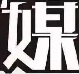 SH-Zhilong.com Favicon