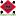 Shaanxi.com.cn Favicon
