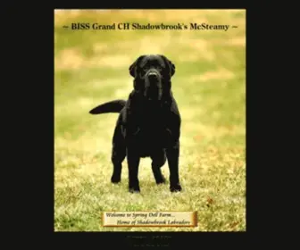 Shadowbrooklabs.com(Shadowbrook Labradors) Screenshot