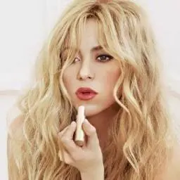 Shakirabrasil.com Logo