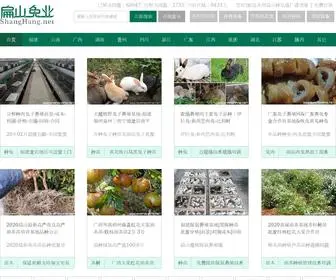 Shanghang.net(扁山苗木网) Screenshot