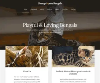 Shangripawbengals.com(Bengal Kittens in Southern California) Screenshot