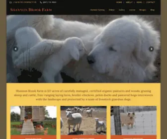 Shannonbrookfarm.com(Shannon Brook Farm) Screenshot