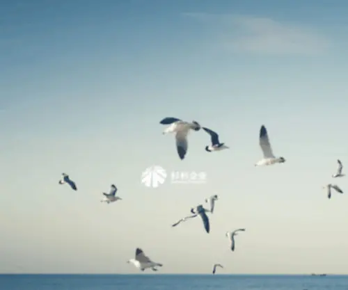 ShanShan.com(杉杉企业) Screenshot