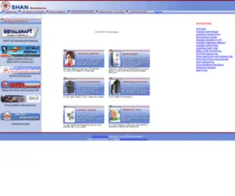 Shansolutions.com(Software Hardware Network Solutions Oakville Ontario) Screenshot