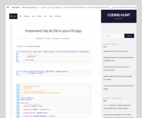 Shaoniiuc.com(Coding Hunt) Screenshot