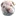 Sharpei-Online.ru Favicon