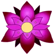 Shavasti.com Favicon
