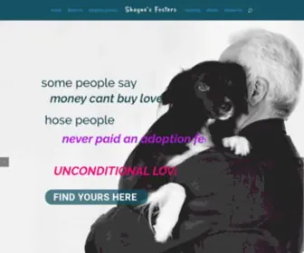 Shaynesrescue.com(Shayne's Fosters) Screenshot