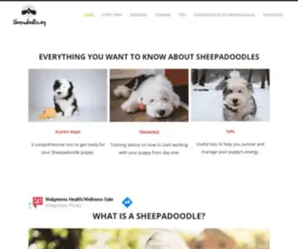 Sheepadoodles.org(What is a sheepadoodle) Screenshot