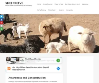 Sheepreeve.com(WordPress) Screenshot