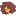 Sheiscare.com Favicon