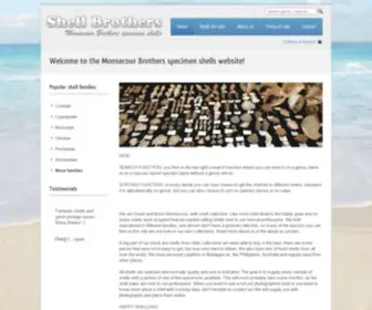 Shellbrothers.be(Monsecour Brothers specimen shells) Screenshot