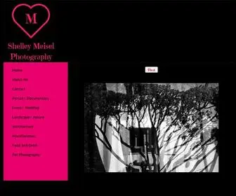 Shelleymeiselphotography.com(Company Name) Screenshot