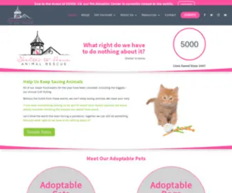 Sheltertohome.com(Shelter to Home Animal Shelter) Screenshot